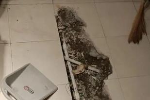 岚皋卫生间漏水检测电话